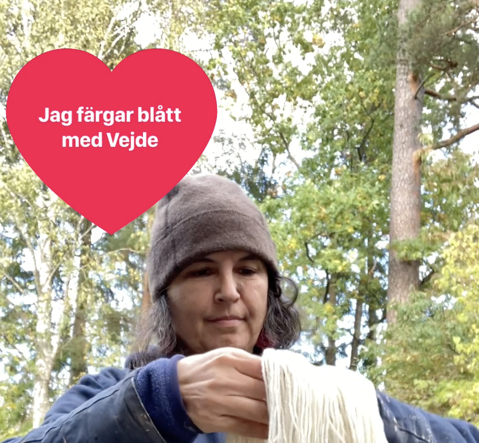 Jag färgar garn med vejde